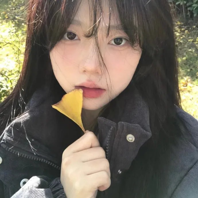 网路杀手